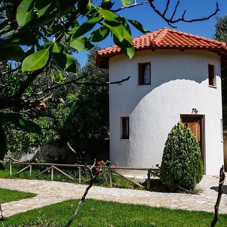Kefalonian Mill - Oneira Villas Trapezaki  Zewnętrze zdjęcie